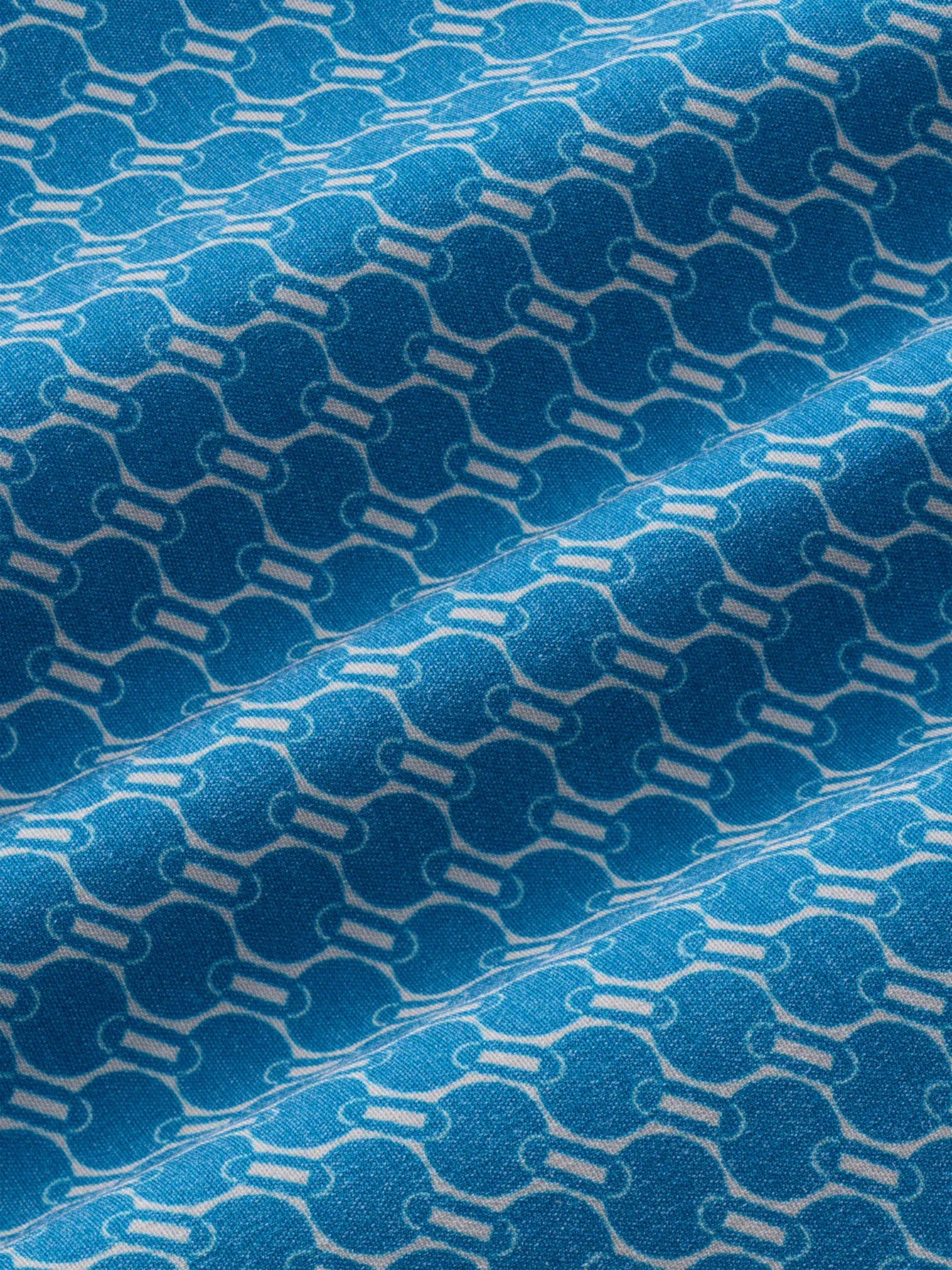 BAYBERRY TRUNK