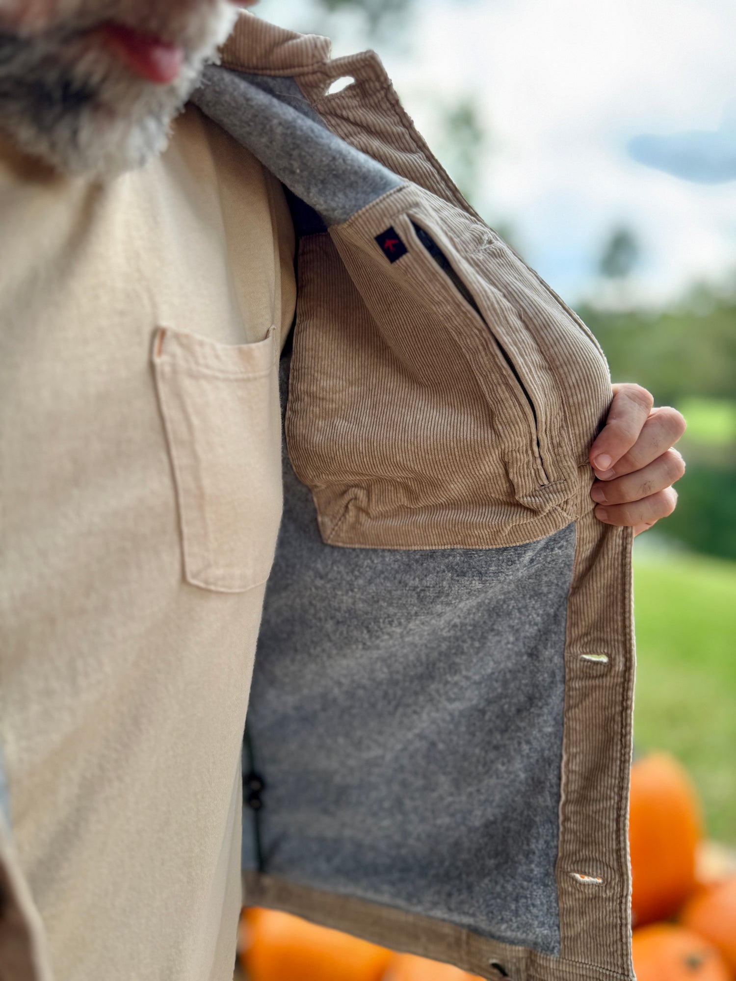 PILE-LINED CHORE COAT