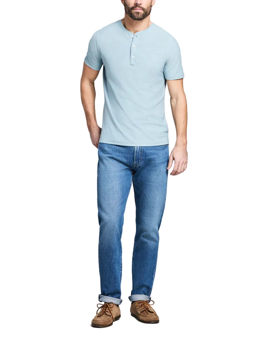 SS BIRDSEYE HENLEY