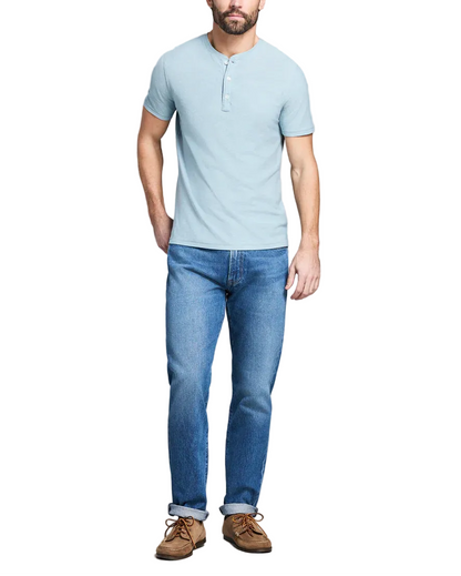 SS BIRDSEYE HENLEY