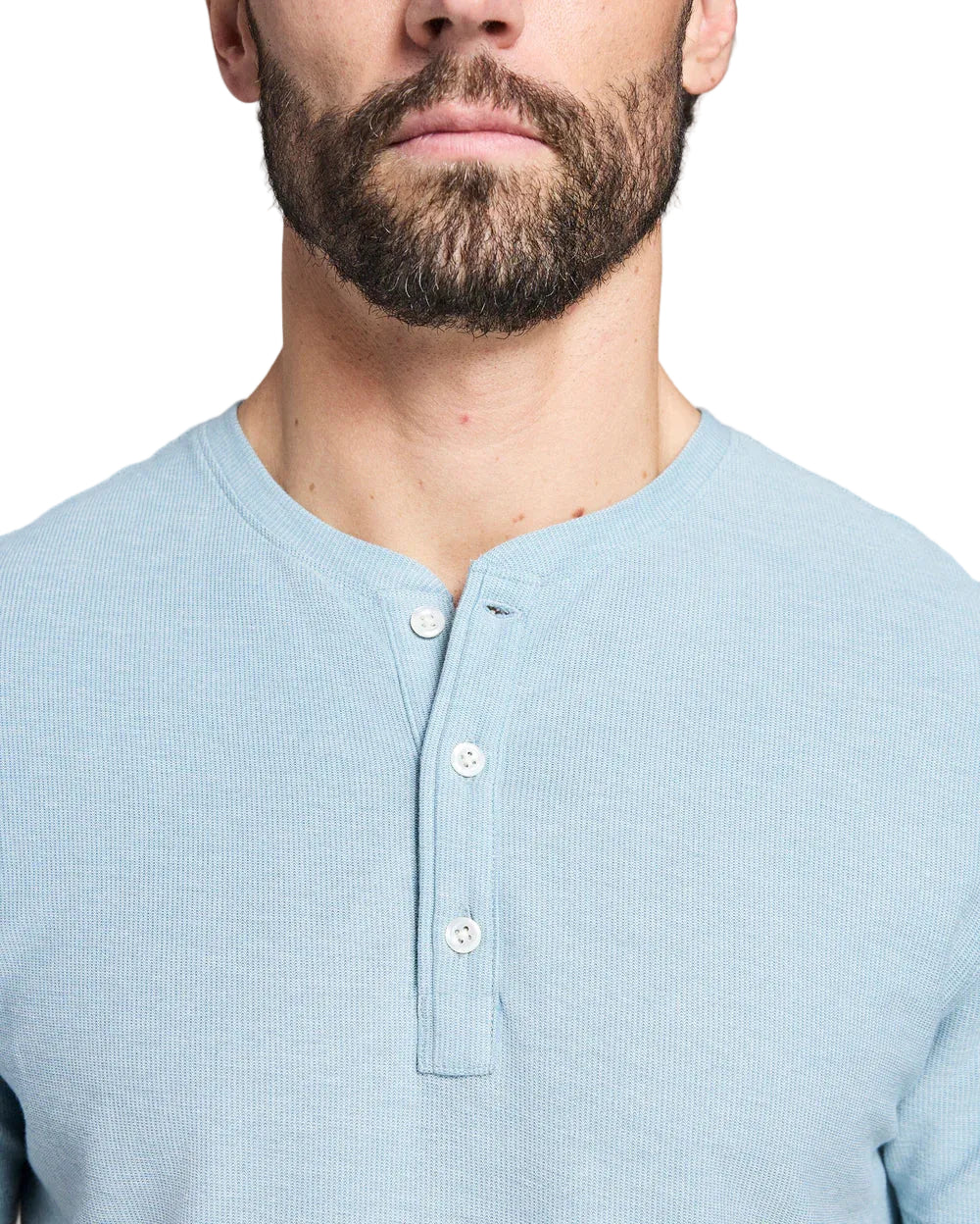 SS BIRDSEYE HENLEY