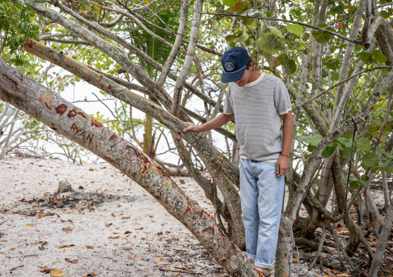 SEAWELL BEACH STRIPE TEE