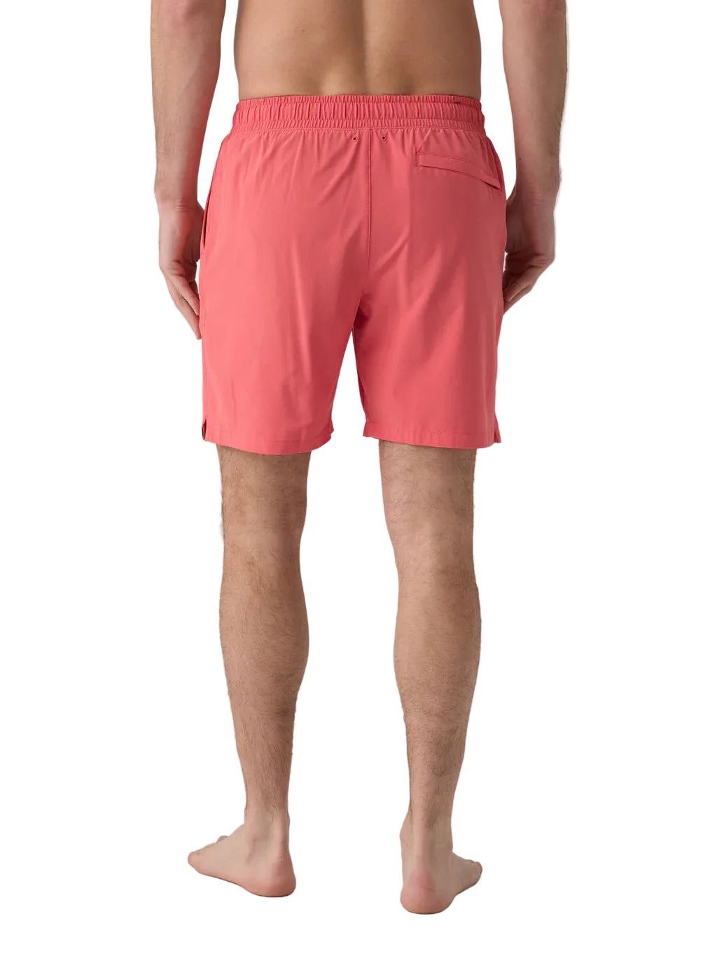 SHORELITE TRUNK 7&