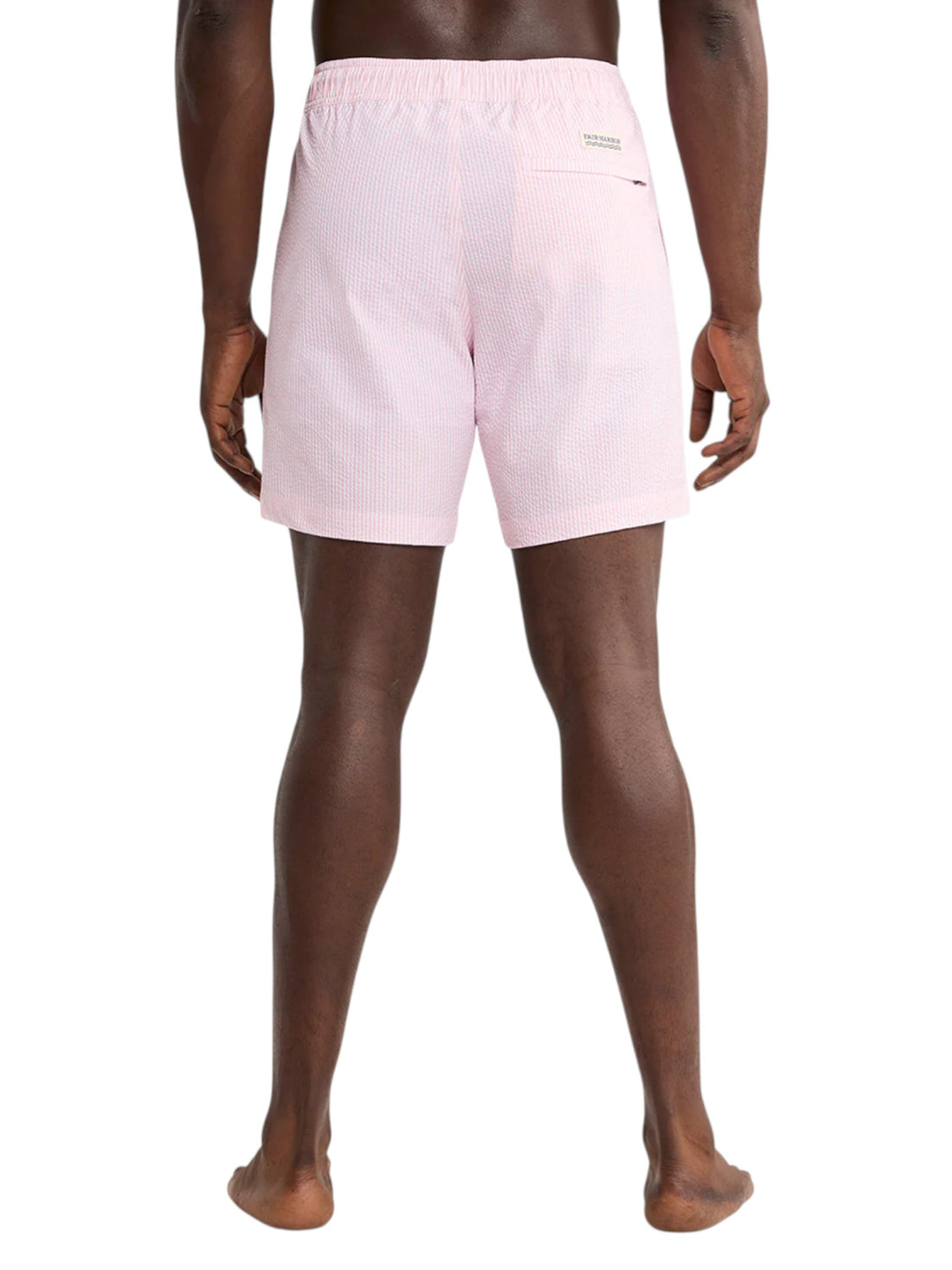 BAYBERRY TRUNK
