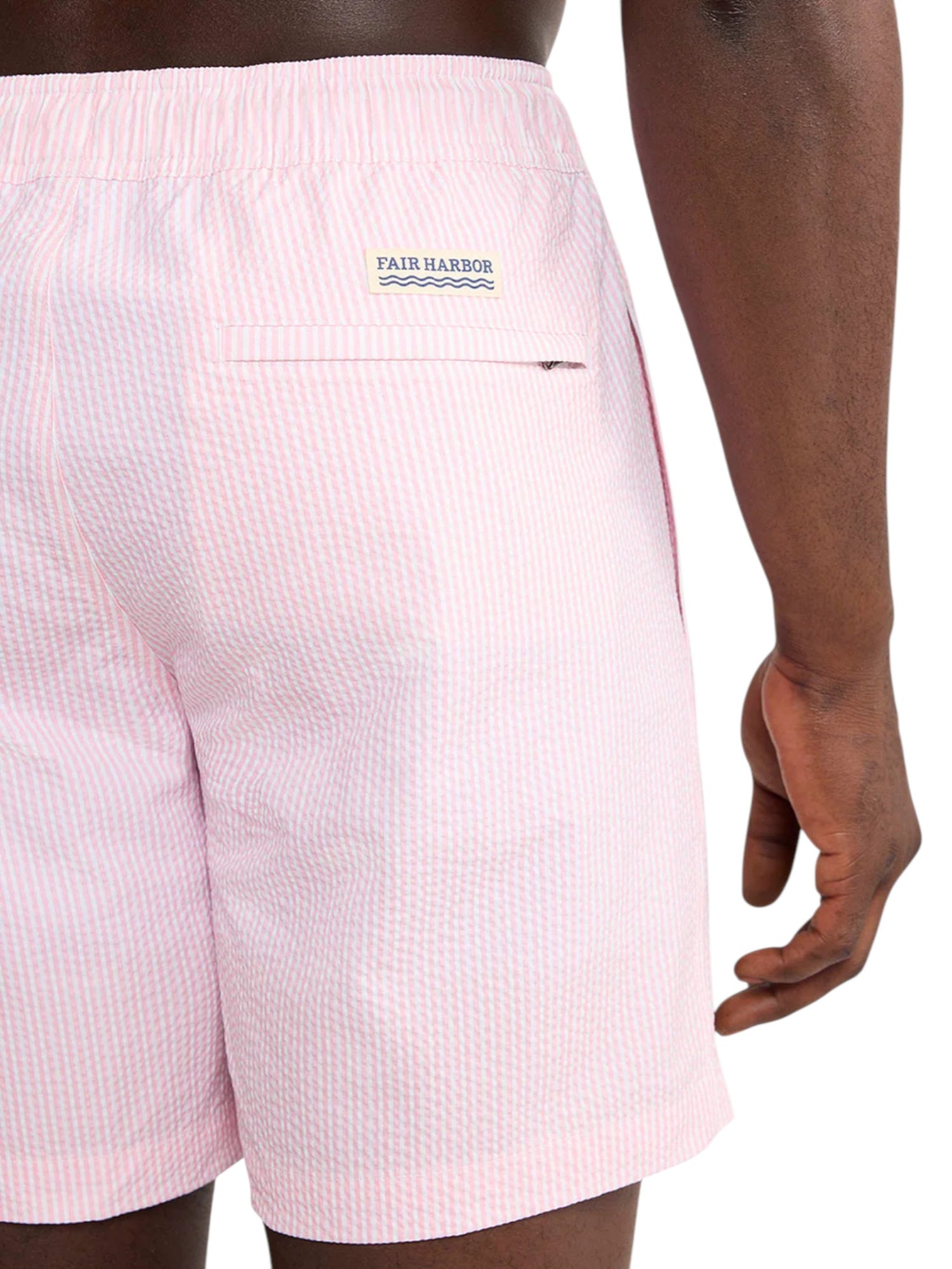 BAYBERRY TRUNK
