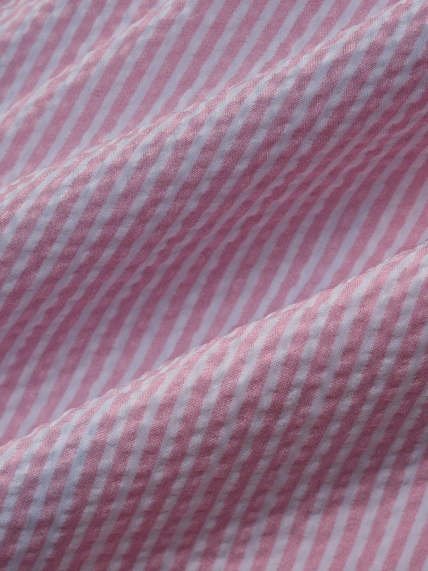 BAYBERRY TRUNK