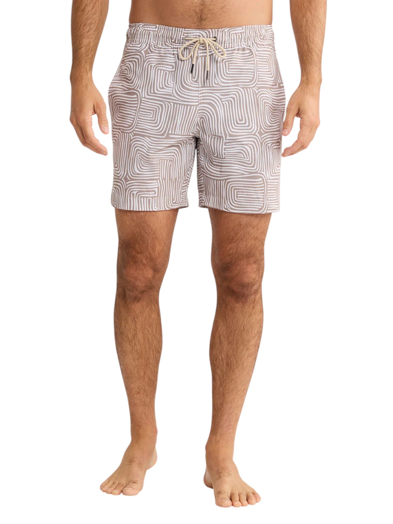 BAYBERRY TRUNK