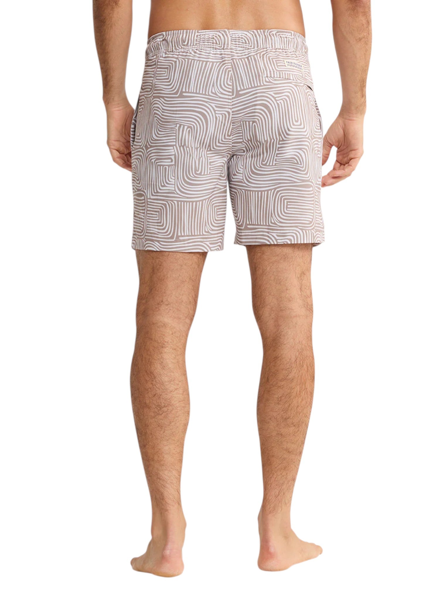 BAYBERRY TRUNK