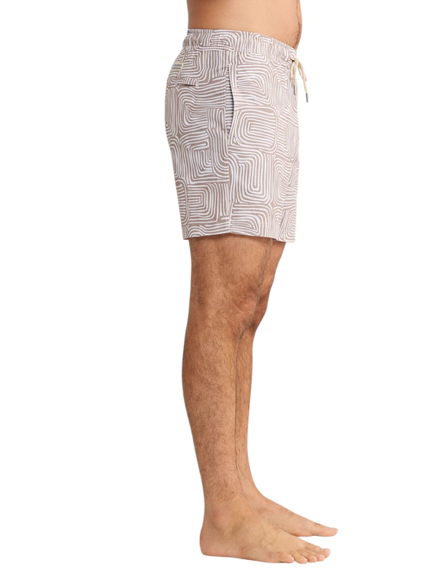 BAYBERRY TRUNK